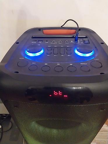 sennheiser mikrofon wireless: Hoffmann portativ partnyor akustik sistemi - Böyük ölçülü iki güclü — 2