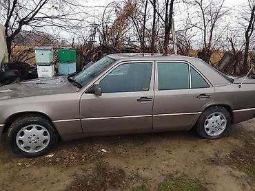 Mercedes-Benz: Mercedes-Benz W124: 1989 г., 2.3 л, Механика, Бензин, Седан — 4