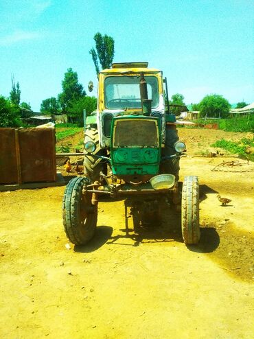 трактор юмз сельхозтехника: Продаю или меняю на баран, трактор юмз 6л, в хорошем состоянии