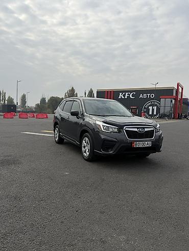 фары на форестер: Subaru Forester: 2020 г., 2.5 л, Вариатор, Бензин, Кроссовер — 1