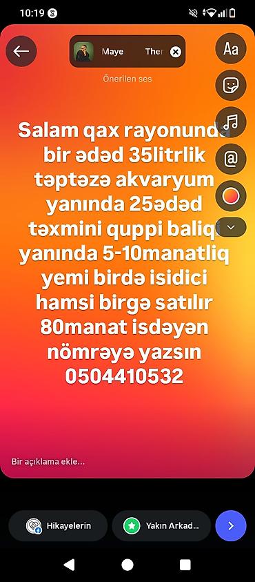 Dördbucaq akvarium, Balıqlarla birlikdə, 35 l, Ünvandan götürmə, Ödənişli çatdırılma