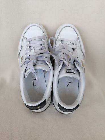 Patike: PUMA MAYZE kozne patike br 38. Koriscene, bez ostecenja. Duzina — 5