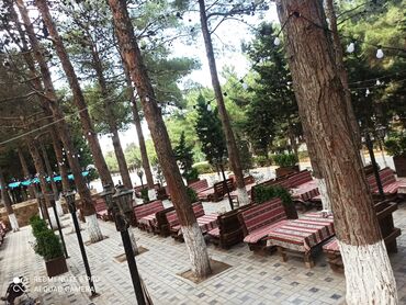 sumqayitda 15000 evler: Ofisiant. Təcrübəli. Dəyişən qrafik
