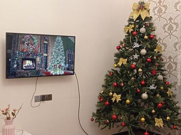 kivi ağacı: Böyük ölçülü süni Yeni il ağacı –2.10sm. (oyuncaqlar daxil deyil)Evi