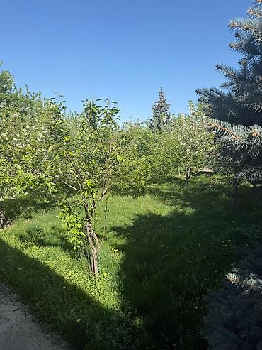 Продажа коттеджей и домов: 5 и более комнат, 340 м², 8 соток, Бишкек, Арча-Бешик ж/м Собственник — 6