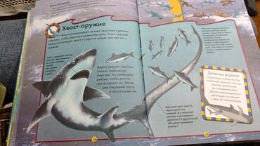 Uşaqlar üçün digər mallar: Детские сказки,в идеальном состояние несколько книжек новые.цены от 3 — 8