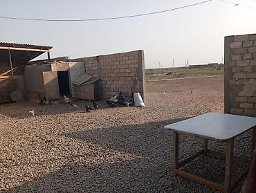 İcarəyə binalar: Ferma satılır ferma Xızı rayonu yeni yaşma kəndində yerləşir 12 sotun — 14