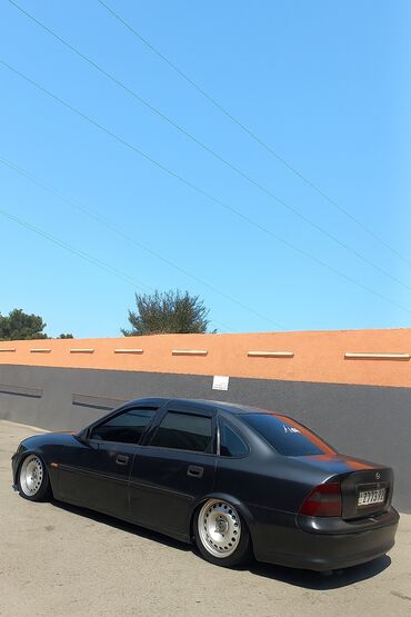 Opel: Opel Vectra: 1.6 l | 1997 il 2500000 km Sedan — 7