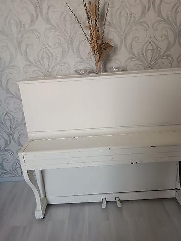 Музыкальные инструменты: Ağ rəngdə vertikal pianino. - Korpus: klassik upright dizayn, sadə — 1