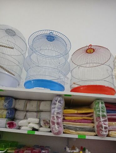 Tutuquşları: Her novde qefeslermiz var satisda maraqlamaq isdeyen elaqe saxlaya -da lalafo.az — 5 Tutuquşları: Her novde qefeslermiz var satisda maraqlamaq isdeyen elaqe saxlaya — 5