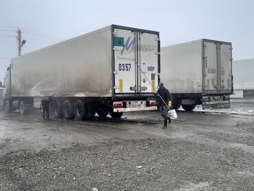 куплю прицеп на легковую машину: Прицеп, Рефрижератор