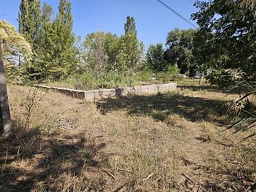 недвижимость квартиры: 4 соток, Для строительства, Красная книга — 3