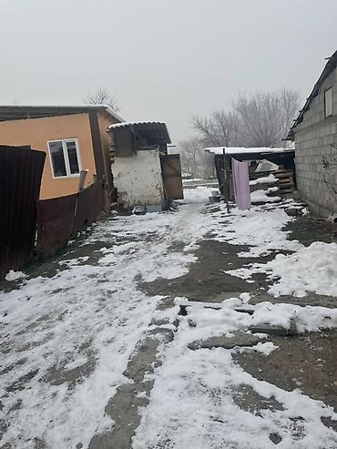 Продажа барачных домов: Срочно продается дом барачного типа село Новопокровка конечная 40 — 8