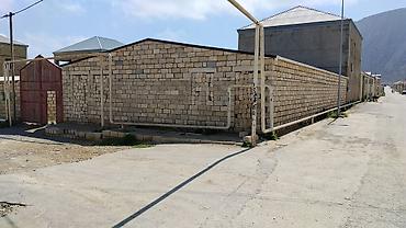 ucuz evlet: Biznes üçün, Kupça (Çıxarış) — 1