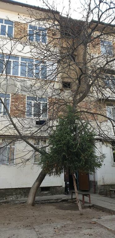 Продажа квартир: 3 комнаты, 59 м², Индивидуалка, 1 этаж — 10