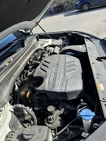 Hyundai: Hyundai Palisade: 2019 г., 2.2 л, Дизель — 24