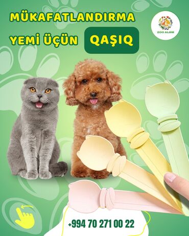 Кошки: Ödül maması qaşığı (pişik və itlər üçün) Pişiklər və itləriniz üçün