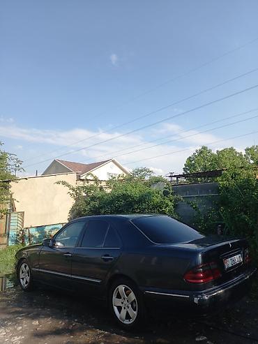 Mercedes-Benz: Mercedes-Benz E-Class: 2000 г., 2.2 л, Автомат, Дизель, Седан — 3