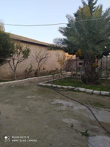 Torpaq sahələrinin satışı: 6 sot, Makler, Kupça (Çıxarış) — 6