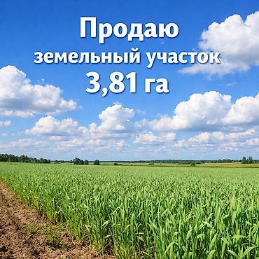 фермер: 381 соток, Для сельского хозяйства — 1