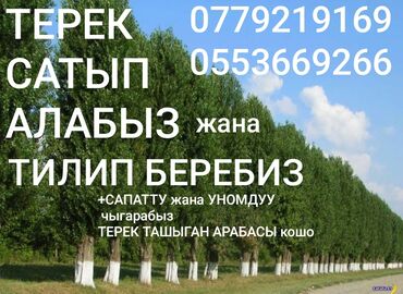 официант неполный рабочий день: Терек САТЫП алабыз Жана тилебиз пилорама кызматтары бар