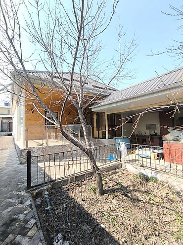 Долгосрочная аренда домов: 80 м², 4 комнаты — 5