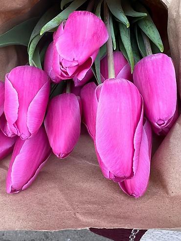 Другие товары для дома: Цветы Голландские Тюльпаны Оптом! Из Голландии получаем — 14