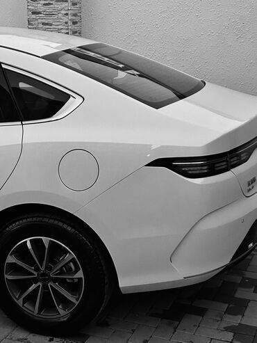 xacmaz rent car: BYD Destroer üçün proqramlar yazıram