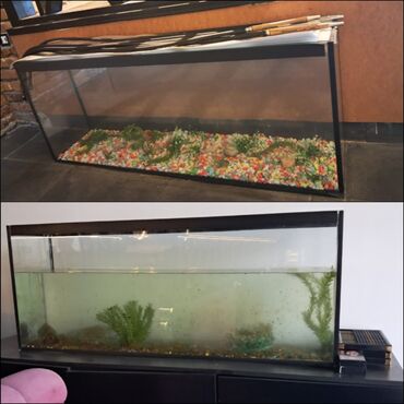 ilan tutan: Akvarium-şkaf, 200 l