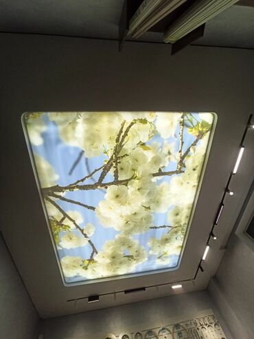 Натяжной потолок: Натяжные потолки — 9