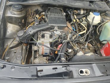 купить опель вектра б: Volkswagen Golf: 1992 г., 1.6 л, Механика, Бензин, Хэтчбэк
