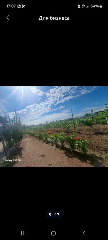 Продажа участков: 230 соток — 14