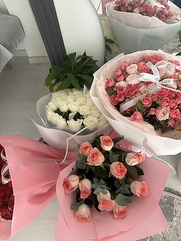 меню для кафе: Ищу работу 17 лет, девушка желательно с 2 часов до ночи, повар фаст — 1