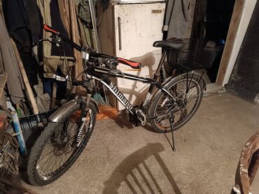 велосипед msep: AZ - City bicycle, Alton, Велосипед алкагы L (172 - 185 см), Башка материал, Башка өлкө