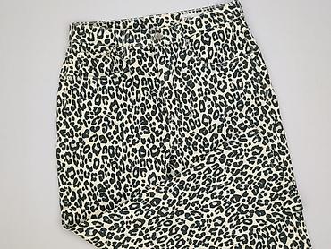 pitbull kakobuy: Zara, Spodnie materiałowe damskie, rozmiar L — 1