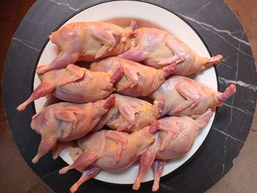 домашняя курица бишкек: Мясо перепелов. Есть по 900с и по 1000с за 1 килограмм
