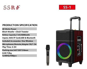 ace pro: Портативная акустическая система SSRJ SS-1 - Мощность: 80 Вт - — 1