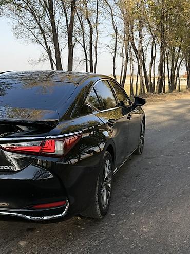 ct 200h: Lexus ES: 2019 г., 2.5 л, Автомат, Гибрид, Седан — 6