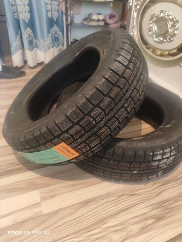 Шины: Шины 215 / 60 / R 16, Зима, Легковые, PRIMUS — 11