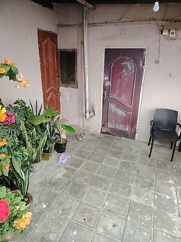 vila: 3 otaqlı, 52 kv. m, Təmirsiz — 5