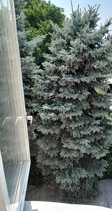 Продажа коттеджей и домов: СРОЧНО! ПРОДАЕТСЯ ИСКЛЮЧИТЕЛЬНЫЙ ОБЪЕКТ НАПРЯМУЮ ОТ СОБСТВЕННИКА! — 17