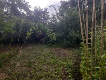 Torpaq sahələrinin satışı: 6 sot, Tikinti, Makler, Kupça (Çıxarış) — 2