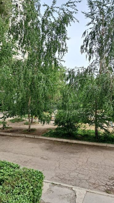 Продажа квартир: 1 комната, 36 м², 105 серия, 1 этаж — 11