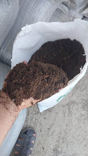 Torf: Torf 250 litrlik ekolayf perlitli 250 litrlik torf perlitli organik — 14