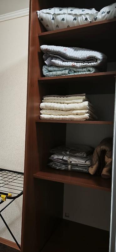 studio apartment: Аренда квартиры на Иссык-Куле, Карвен 4 сезона, Сары-Ой, 3 места, Цена Целиком за жилье — 7