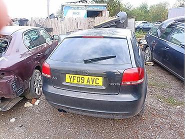 Karoserija: KRILA VRATA BRANICI ZA AUDI A3 OD 2008. DO 2012. GOD. | AUDI A3 8P — 2