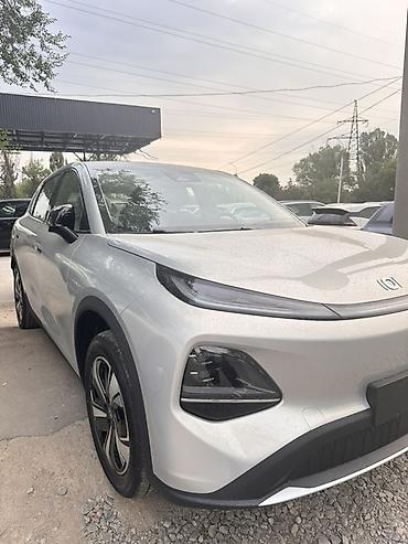 model y: Электромобиль (кроссовер), серебристый металлик. Кузов и дизайн: - — 3