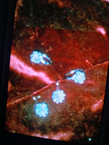 Сдаю в аренду гараж: Сдаю гараж для машины можно большой в 10 мкр. можно под м отоцикл — 10