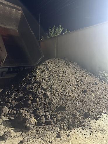 taxta evlerin satisi ve tikilmesi: Qara Torpaq Və Peyin Torpaq Satışı: Kənd təsərrüfatı, bağçılıq və ya — 7