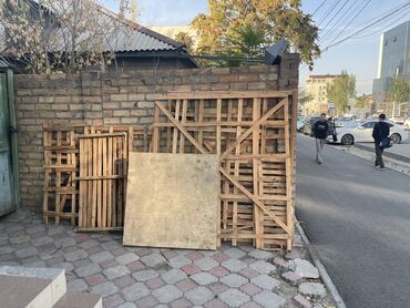 продажа саженцев плодовых деревьев: Дрова Самовывоз